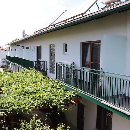 Pension Daniela Steiner Podersdorf am See Bagian luar foto